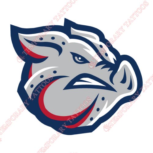 Lehigh Valley IronPigs Customize Temporary Tattoos Stickers NO.7980